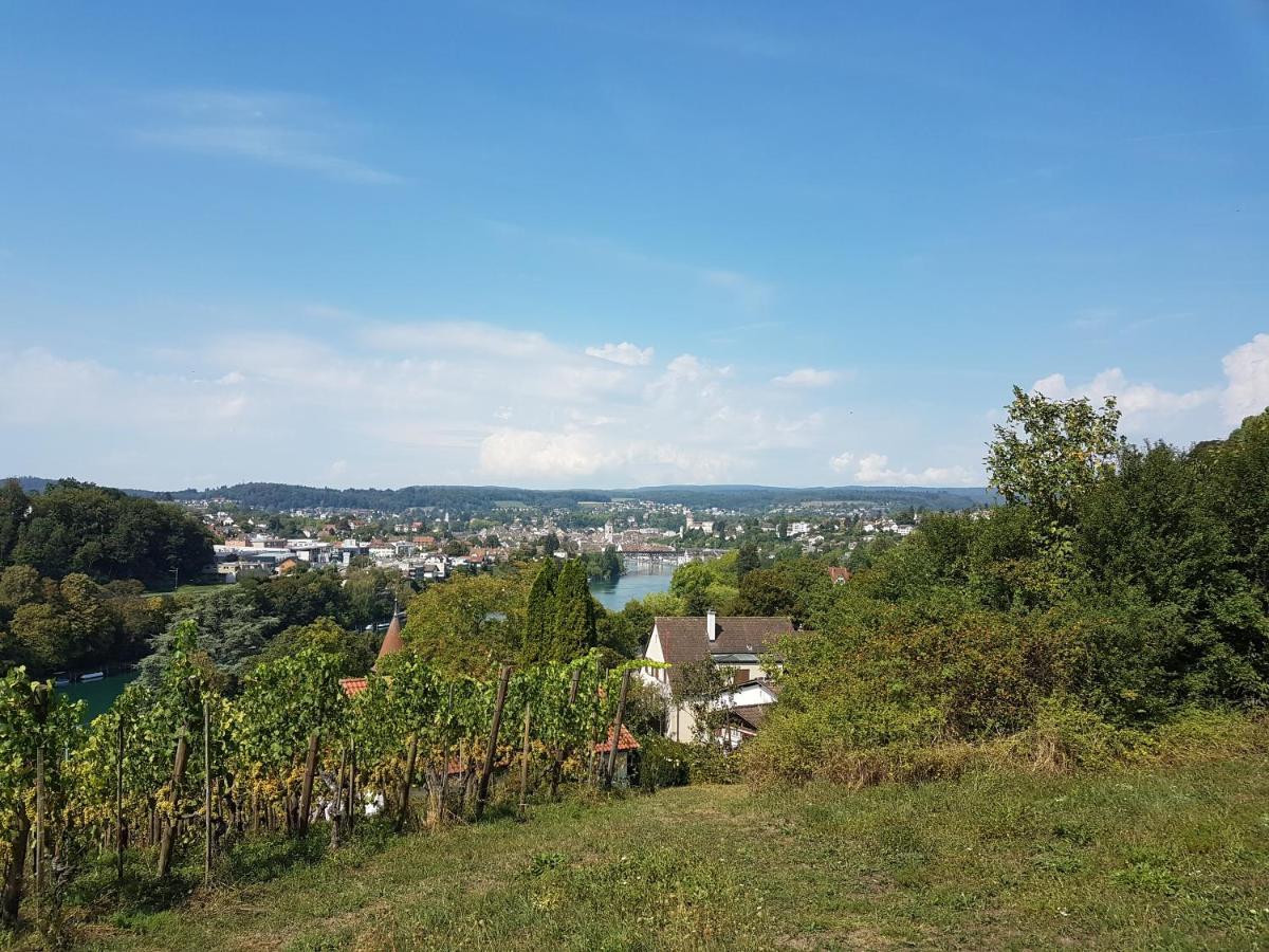 Ferienwohnung Rheinblick In Buesingen -Keine Monteure- Busingen Esterno foto