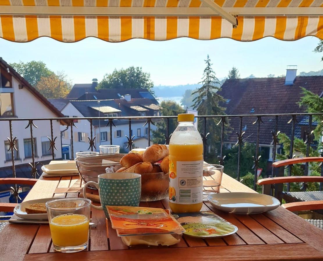 Ferienwohnung Rheinblick In Buesingen -Keine Monteure- Busingen Esterno foto