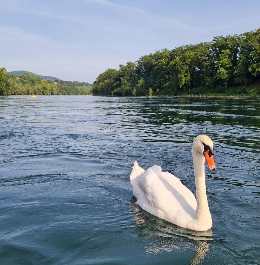 Ferienwohnung Rheinblick In Buesingen -Keine Monteure- Busingen Esterno foto