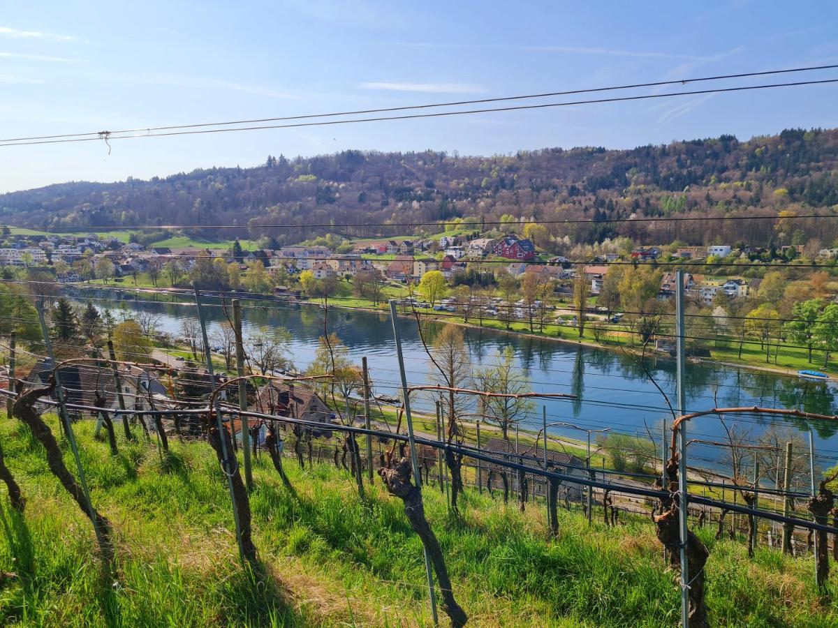 Ferienwohnung Rheinblick In Buesingen -Keine Monteure- Busingen Esterno foto