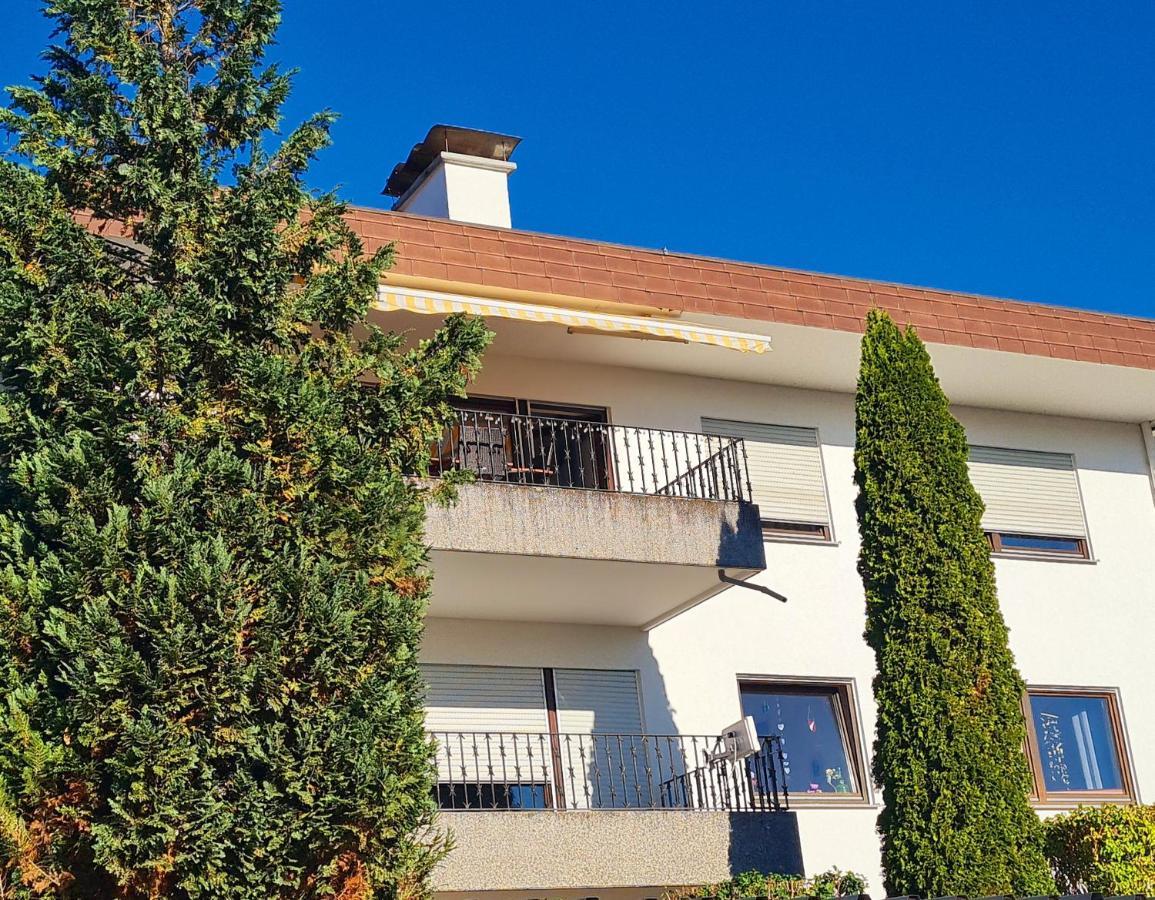Ferienwohnung Rheinblick In Buesingen -Keine Monteure- Busingen Esterno foto